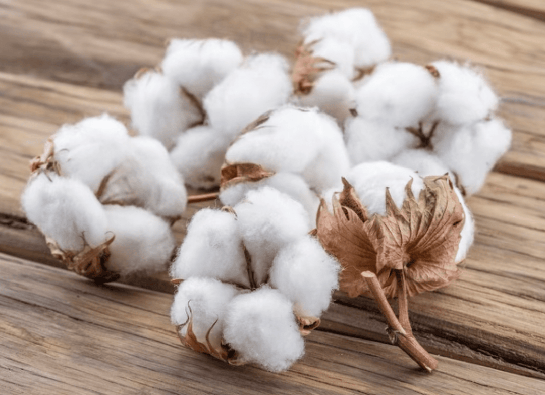 From Cotton to Customer: How Your T-Shirt is Made